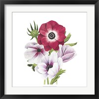 Framed 'Anemone Blooms I' border=