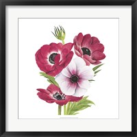 Framed Anemone Blooms II