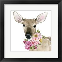 Deer Spring II Framed Print