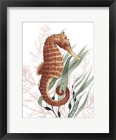 Framed Seahorse Treasures I