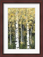 Framed Birch Treeline II
