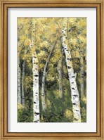 Framed Birch Treeline III