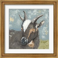 Framed 'Farm Life-Grey Goat' border=