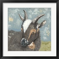 Framed 'Farm Life-Grey Goat' border=