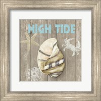 Framed High Tide Shoreline I