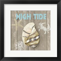Framed High Tide Shoreline I