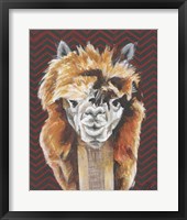 Animal Patterns III Framed Print