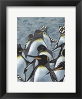 Framed Colony of Penguins I