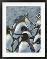 Framed Colony of Penguins I