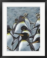 Colony of Penguins I Framed Print