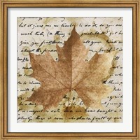 Framed Earth Leaf I