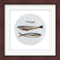 Framed Three Fish II
