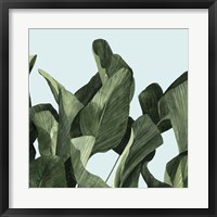 Framed Celadon Palms II