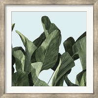 Framed Celadon Palms II