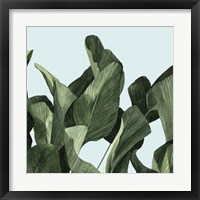 Framed 'Celadon Palms II' border=