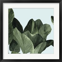 Framed 'Celadon Palms I' border=