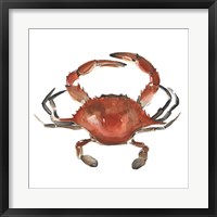 Framed Watercolor Crab I