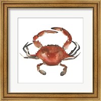 Framed Watercolor Crab I