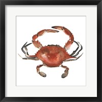 Framed Watercolor Crab I