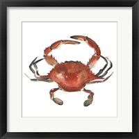 Framed 'Watercolor Crab I' border=