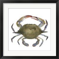 Framed 'Watercolor Crab II' border=