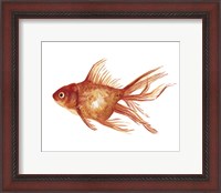 Framed Ornamental Goldfish I