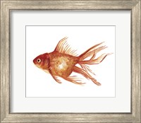 Framed Ornamental Goldfish I