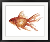 Framed Ornamental Goldfish I