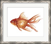 Framed Ornamental Goldfish I