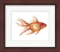 Framed Ornamental Goldfish II