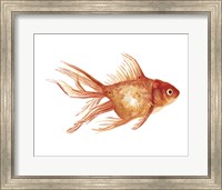 Framed Ornamental Goldfish II