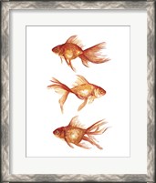 Framed Ornamental Goldfish III