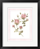 Rose Pattern I Framed Print