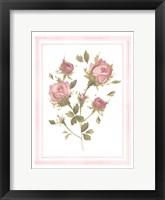 Rose Pattern II Framed Print