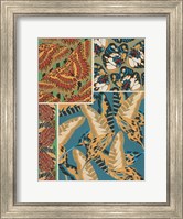 Framed Decorative Butterflies IV