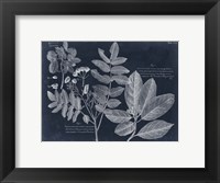 Framed Foliage on Navy V