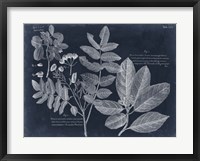 Foliage on Navy V Framed Print