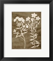 Framed 'Botanical in Taupe I' border=