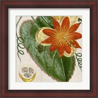 Framed 'Cropped Turpin Tropicals I' border=