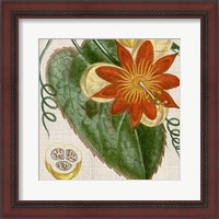 Framed Cropped Turpin Tropicals I