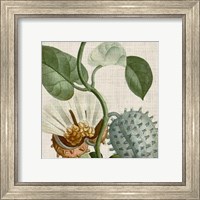 Framed 'Cropped Turpin Tropicals II' border=