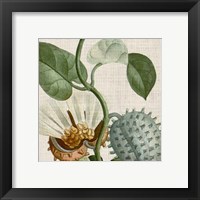 Framed 'Cropped Turpin Tropicals II' border=