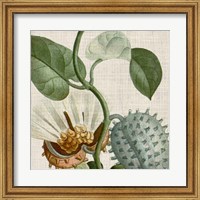 Framed Cropped Turpin Tropicals II