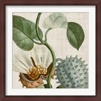 Framed Cropped Turpin Tropicals II