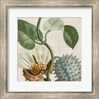 Framed 'Cropped Turpin Tropicals II' border=