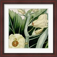 Framed Cropped Turpin Tropicals III