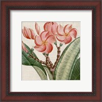 Framed 'Cropped Turpin Tropicals VII' border=