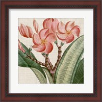 Framed Cropped Turpin Tropicals VII