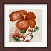 Framed 'Cropped Turpin Tropicals VIII' border=