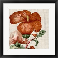 Cropped Turpin Tropicals VIII Framed Print